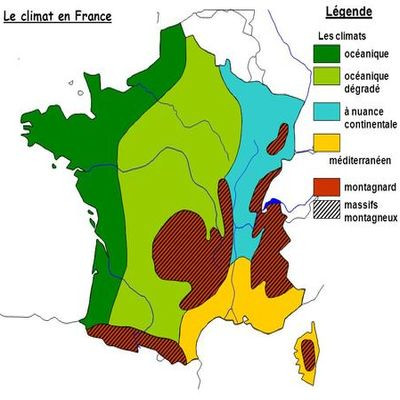 Selon le climat - Attention aux descentes précoces  